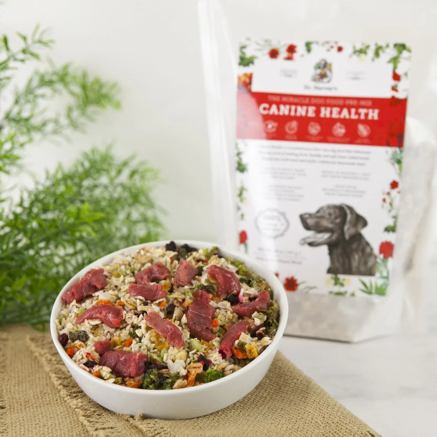 Canine Health