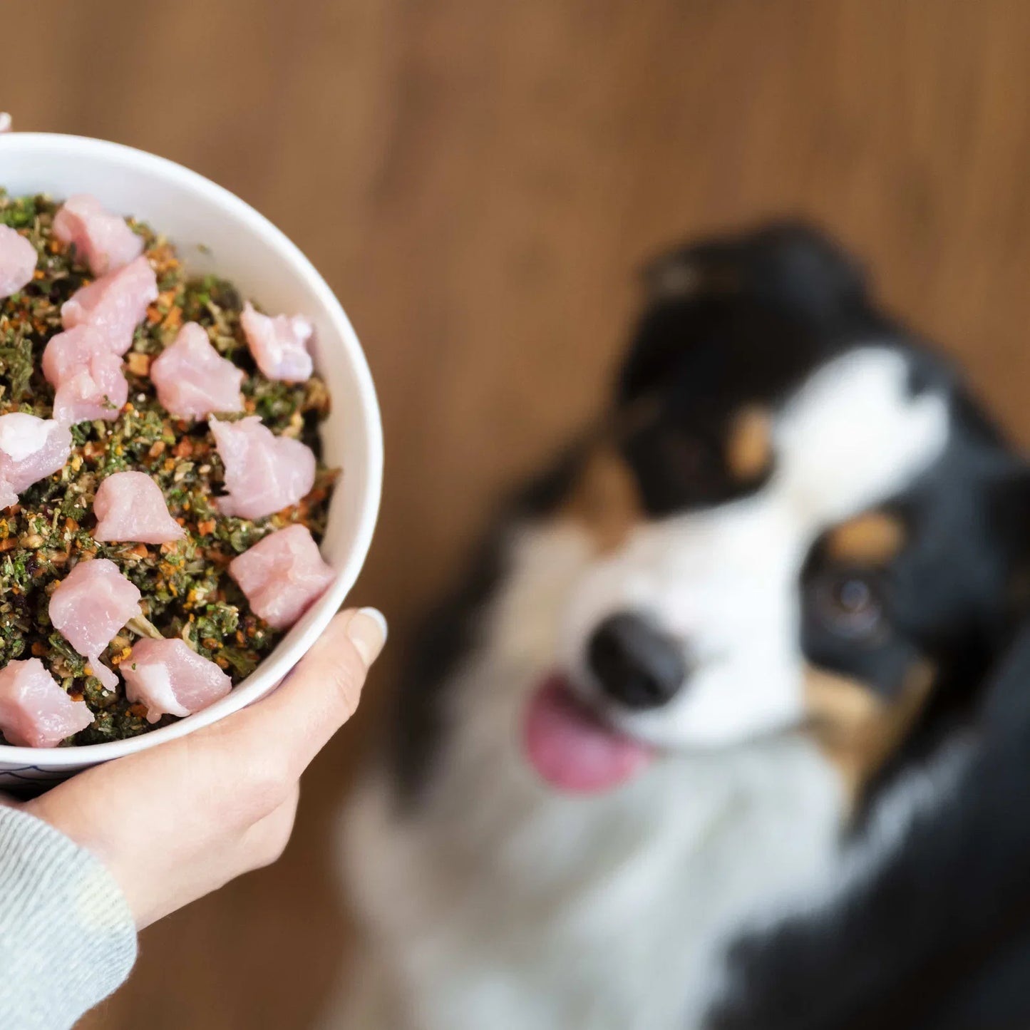 Raw Vibrance - Raw Food Diet for Dogs