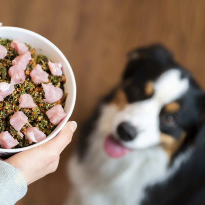 Raw Vibrance - Raw Food Diet for Dogs
